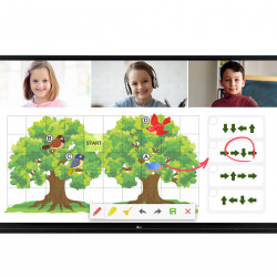 Display LED 55" UHD cu touch LG 55TR3BG