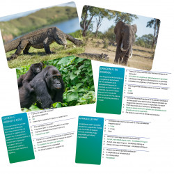 JOC INTERACTIV LUMEA ANIMALELOR IN LIMBA ROMANA - Img 3