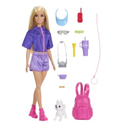 BARBIE FAMILY AND FRIENDS SET PAPUSA BARBIE MALIBU SI ACCESORII AVENTURI IN AER LIBER - Img 2