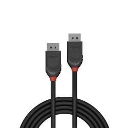 Cablu Lindy DisplayPort 1.2, 0.5m, negru - Img 4