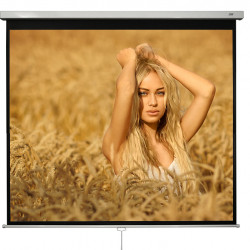 Ecran proiectie manual, perete/tavan, 240 x 240 cm, Blackmount, Format 1:1