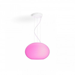 Flourish Hue pendant EU/UK white 31W 24V