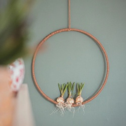 Inel Metalic Auriu Vaessen Creative Ø30 cm, Grosime 3 mm, inel decorativ pentru coronițe, macrameu și decorațiuni DIY - Img 2