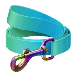 Lesa de caine din nylon WAUDOG , latime 15 mm, lungime 122 cm, albastra
