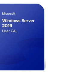 Microsoft CAL User, Server 2019, OEM DSP OEI, engleza, 5 useri, DVD