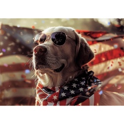 PUZZLE TREFL 1000 COLECTIA SUA CAINE AMERICAN POSTER INCLUS - Img 2