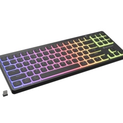 Tastatura WS Genesis Thor 430 TKL negru