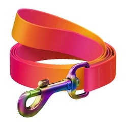 Lesa de caine din nylon WAUDOG, latime 15 mm, lungime 122 cm, portocaliu