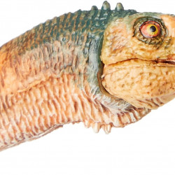 PAPO FIGURINA DINOZAUR CHILESAURUS - Img 2