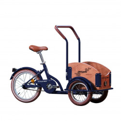 PEGAS MINI CARGO 1S ALBASTRU CALATOR