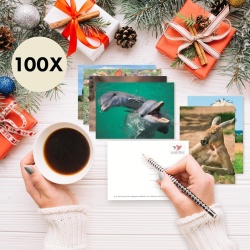 Set 100 Cărți Poștale cu Animale Edition Colibri, Toate Diferite, Finisaj Lucios cu Lac UV, Ideale pentru Colecționari, Școli sau Postcrossing - Img 5
