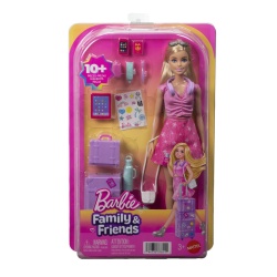 BARBIE FAMILY AND FRIENDS SET DE CALATORIE