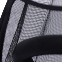 PLASA INSECTE CARUCIOR HAMILTON - Img 2
