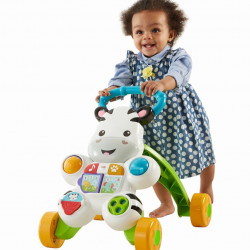 ANTEPREMERGATOR ZEBRA FISHER PRICE - Img 3