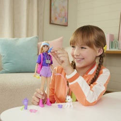 BARBIE FAMILY AND FRIENDS SET PAPUSA BARBIE MALIBU SI ACCESORII AVENTURI IN AER LIBER - Img 3