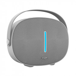 Boxa Bluetooth fara fir W-KING T8 30W (argintiu)