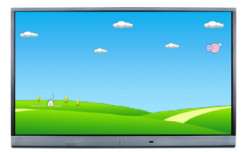 Display LED 65’’ cu touch, 4K, BlackMount TE-XP-65