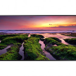 Ecran profesional Samsung QB98T