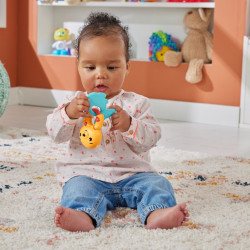 FISHER PRICE JUCARIE ZORNAITOARE VIDRA - Img 3