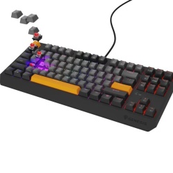 Tastatura Genesis Thor 230 TKL R gri - Img 3