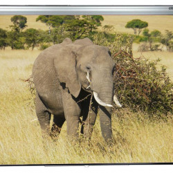 Ecran de proiectie Sopar SP3200PL, 200x210 cm