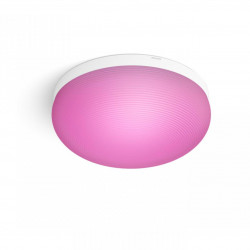FLOURISH HUE CEILING EU/UK WHITE 32W 24V