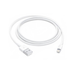 LIGHTNING TO USB CABLE (1 M)-ZML