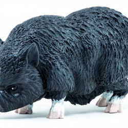 PAPO FIGURINA PORC VIETNAMEZ
