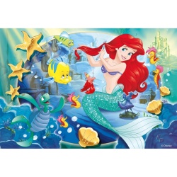 Puzzle, Lisciani, Ariel, Puzzle cu doua fete 250 piese - Img 3