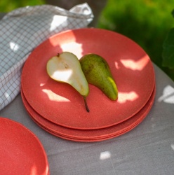 Set of 4 flat plastic plates - Img 3