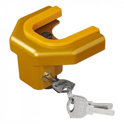 Trailer coupling anti-theft device
