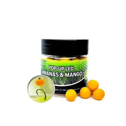 Pop-Up LED Ananas Mango 8mm