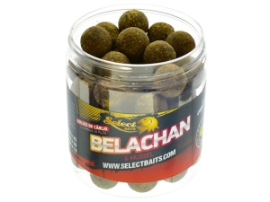 Boilies de carlig critic echilibrat Belachan