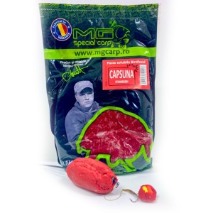 Pasta solubila Birdfood Capsuna 1kg