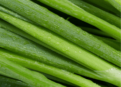 Ingrasaminte foliare