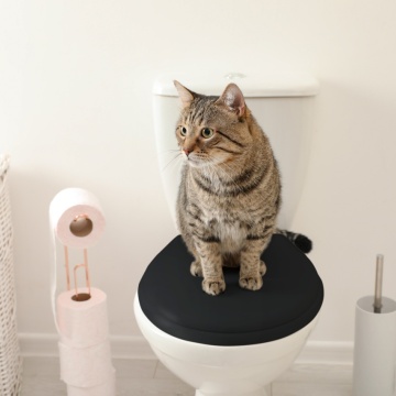 WC/BLACK - Capac WC, negru mat, duroplast - Img 3