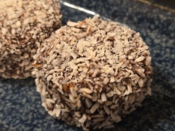 Lamington - Img 2