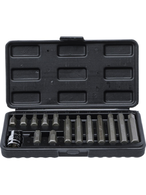 Set biti Imbus 4-12 mm, antrenare hexagon 10 mm (3/8"), adaptor 12.5 mm (1/2"), 15 piese, BGS DIY 5070