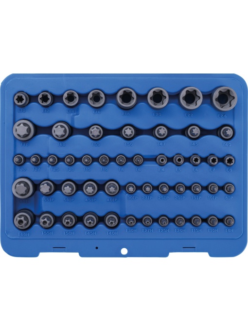 Set biţi Torx si capete chei tubulare Profil E, Torx cu gaura, Profil TP pentru Torx Plus, 52 piese, BGS 9839