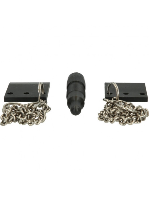 Set scule de reglare motor pentru Audi, VW V6 TDI, Brilliant Tools BT597050
