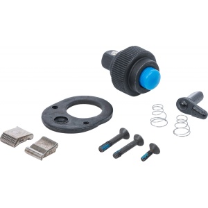 Set reparaţie pentru cap cu clichet pentru BGS 302, BGS 302-1 - Img 1