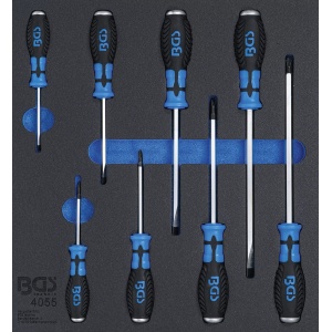 Echipare pentru dulap 2/3, surubelnite drepte si in cruce, BGS 4055