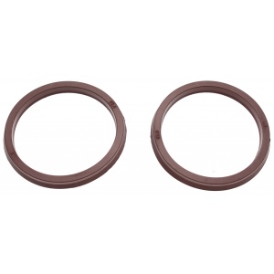 Garnituri de schimb din fluoroelastomer pentru pompa de transfer BGS 4068, BGS 4068-1