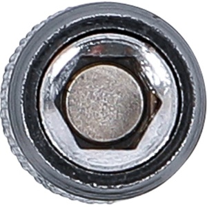 Prelungire pentru perii pentru BGS 3078 Ø 6,3 mm (1/4"), BGS 3078-3 - Img 3