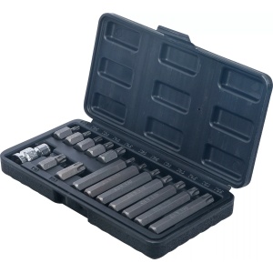 Set de biti T-Star pentru Torx, antrenare 3/8 ", 15 piese, BGS DIY 5040 - Img 3