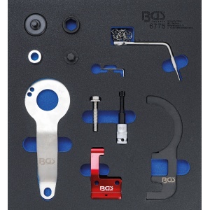 Set dispozitive de reglare a motorului pentru BMW şi MINI, 1.5 şi 2.0L Diesel, BGS 6775