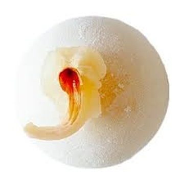 MOCHIRI MOCHI ICE LYCHEE 10/840G