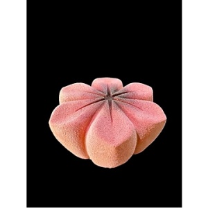 SAKURA MOUSSE AL CIOCCOLATO 1/630G (70Gx9PC)