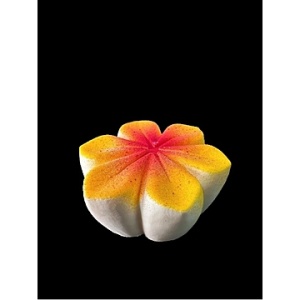 SAKURA CHEESECAKE AI FRUTTI ROSSI 1/630G (70Gx9PC)