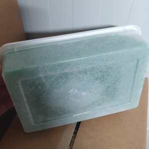 SCN TOBIKO WASABI 12/500G - Img 2